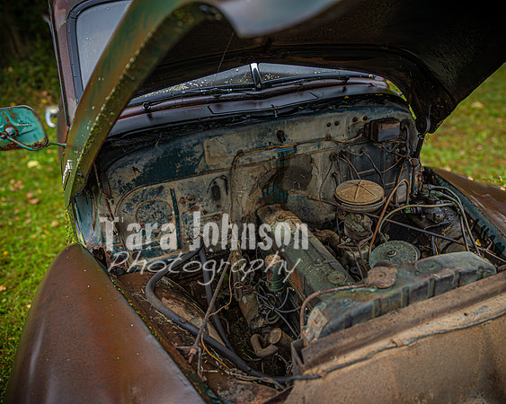 Wyman Family - Color - TJP (18 of 36)