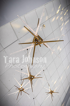 2025 U of D Prom - The Tail - TJP (7 of 53)
