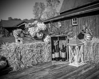 Michael & Ashlee McGrath - Complete - BW - TJP (5 of 428)