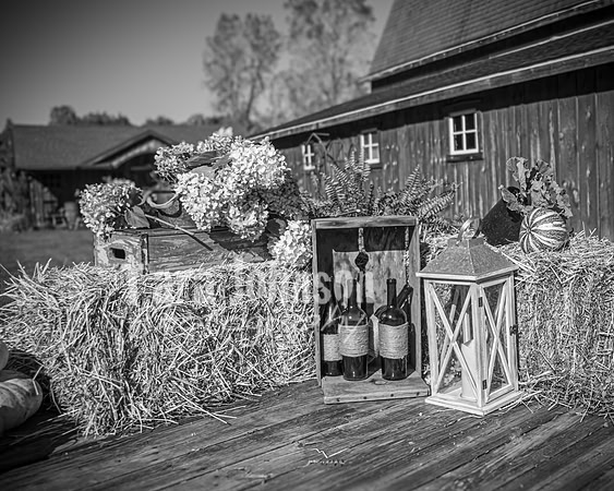 Michael & Ashlee McGrath - Complete - BW - TJP (5 of 428)