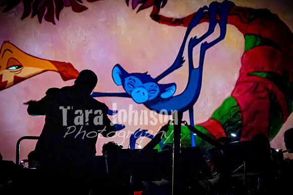 22 HVS Band Movie Night - TJP (52 of 150)