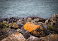 Howth Trip (12 of 55)