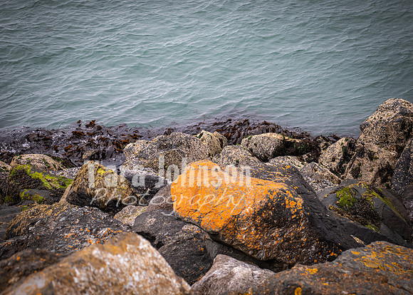 Howth Trip (12 of 55)