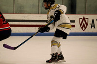Hockey vs Cancer #2 EDITED (15 of 50)