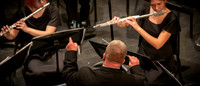 (web) 22 Winter MMS @ MHS Concert (Banners @ 72 ppi & 10 MB max) - TJP (3 of 24)