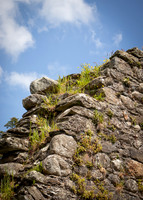 Glendalough Field Trip (44 of 117)