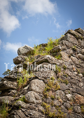 Glendalough Field Trip (44 of 117)