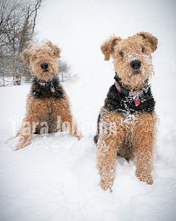Woodrow & Lilly - TJP (53 of 64)