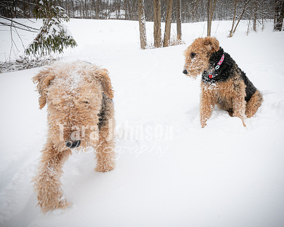 Woodrow & Lilly - TJP (50 of 64)