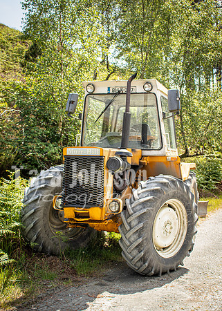 Glendalough Field Trip (106 of 117)