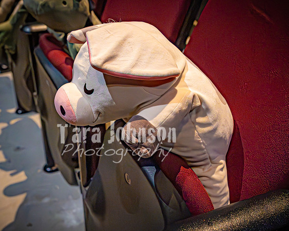 25 MTC - VIP - Candids - TJP (38 of 130)