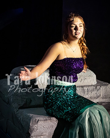 22 LHS Theatre - Mermaid R1 - Act 1 - TJP (10 of 363)