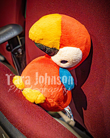 25 MTC - VIP - Candids - TJP (32 of 130)