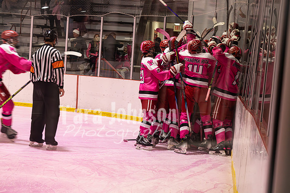 2025 Pink in the Rink - EL (27 of 28)