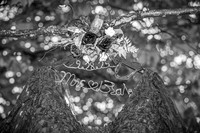Eric & Elyse -Complete - BW - TJP (18 of 731)