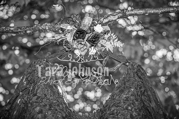 Eric & Elyse -Complete - BW - TJP (18 of 731)