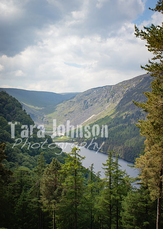 Glendalough Field Trip (111 of 117)