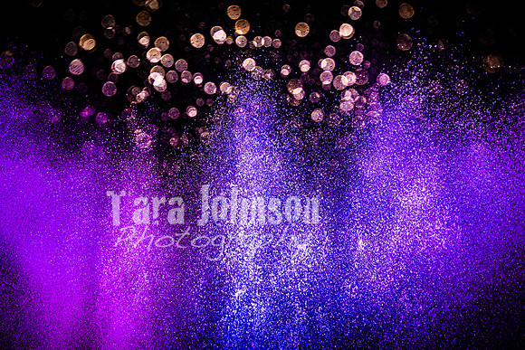 2025 U of D Prom - Complete Collection - TJP (281 of 374)