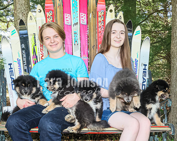 Bryde Family & Finish Lapphund Pups - TJP (28 of 60)