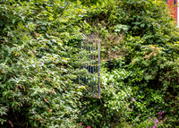 Galway Day Trip - Riverside Walk (18 of 57)