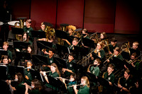 (print) 22 Winter OVMS - Band MM (Full Res, Various Sizes) (15 of 26)