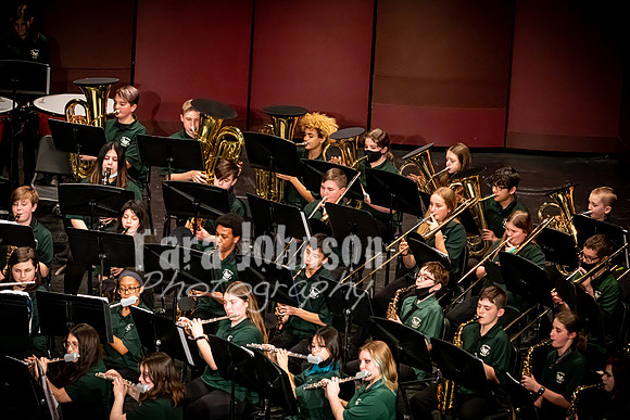 (print) 22 Winter OVMS - Band MM (Full Res, Various Sizes) (15 of 26)