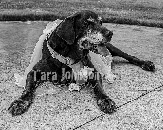 J. & D. Klann - Complete in BW - TJP (86 of 685)