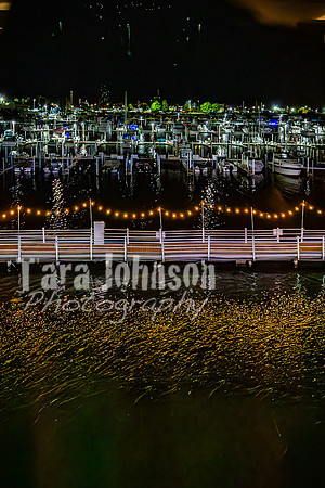 2024 U of D Prom - The Event - TJP (42 of 355)