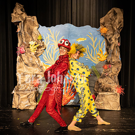 22 LHS Theatre - Mermaid Press Photo - TJP (3 of 4)