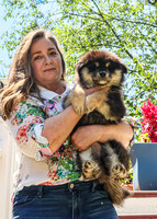 Bryde Family & Finish Lapphund Pups - TJP (19 of 60)