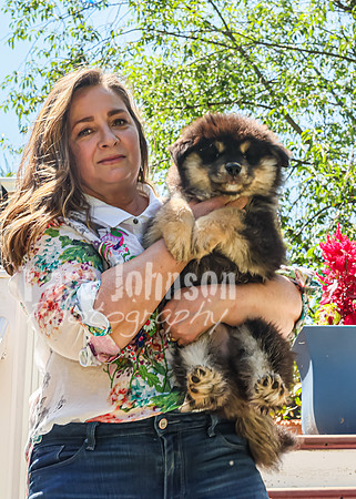 Bryde Family & Finish Lapphund Pups - TJP (19 of 60)