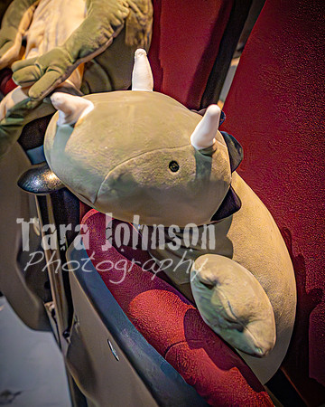 25 MTC - VIP - Candids - TJP (39 of 130)