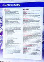 OEC - In Summary & Vocab (10 of 44)