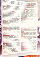 OEC - Glossary (13 of 18)