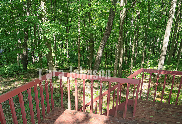 Homestead - 3415 W. Buno (8MB max)- TJP (6 of 60)