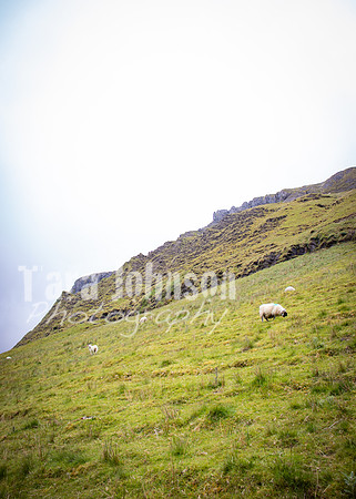 Benbulbin Mountain Trip (35 of 139)