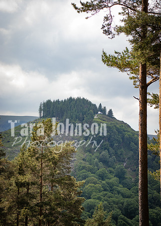 Glendalough Field Trip (109 of 117)