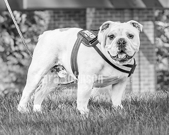 Anna Allen @ Central Park in Milford - BW - TJP (18 of 100)