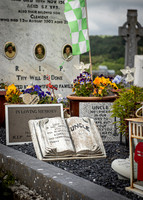 Glendalough Field Trip (8 of 117)