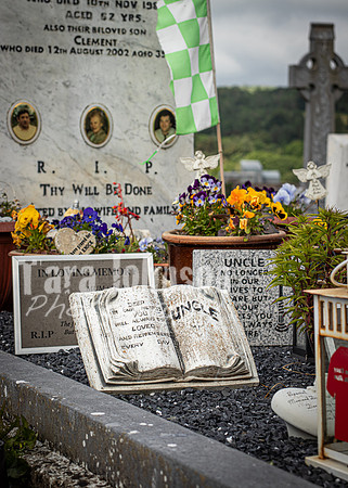 Glendalough Field Trip (8 of 117)