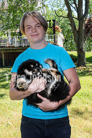 Bryde Family & Finish Lapphund Pups - TJP (31 of 60)