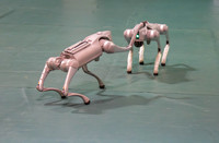 WSURobotics2025 (17 of 496)