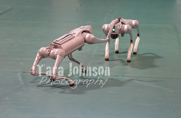 WSURobotics2025 (17 of 496)