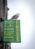 Galway Day Trip - Streets of Galway (14 of 51)