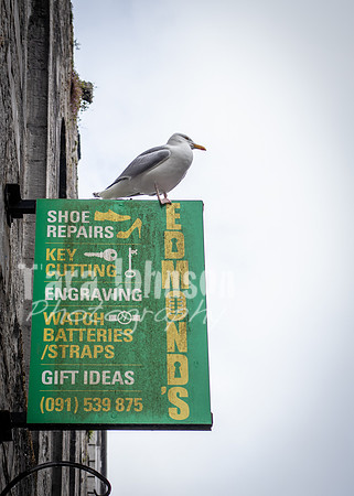 Galway Day Trip - Streets of Galway (14 of 51)
