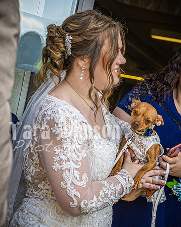 Mitch & Kelly - Receiving Line - TJP (50 of 59)