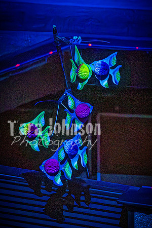 2024 MTC - Honk - Matinee - TJP (129 of 856)