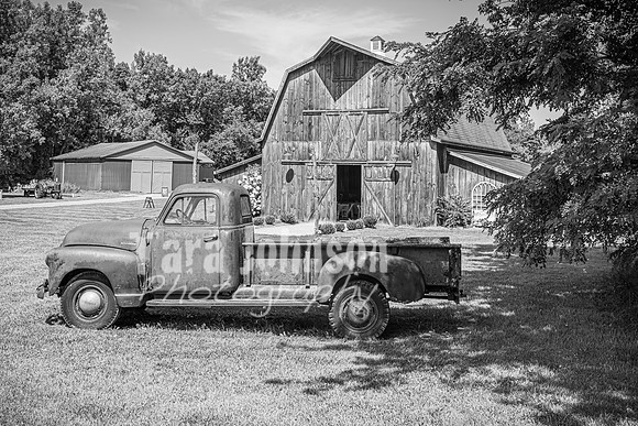 Doug & Bridget Law - Complete - BW - TJP (4 of 551)
