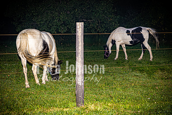 2023 Tyler & Karli Wedding - Complete - Color - TJP (749 of 841)