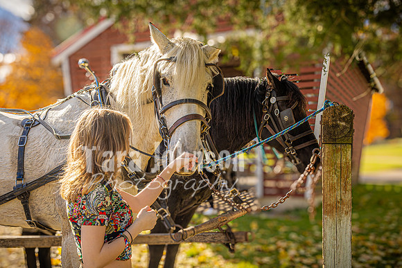 Baily Hagg @ Kensington Farm - Color - TJP (33 of 58)